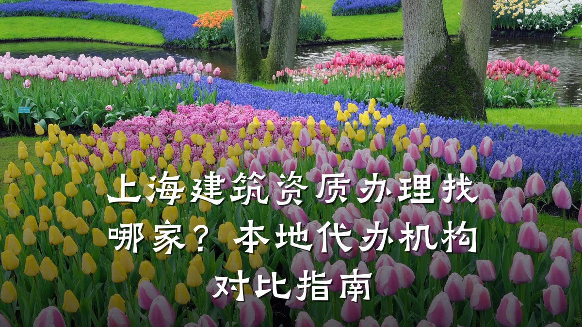 上海建筑资质办理找哪家?本地代办机构对比指南