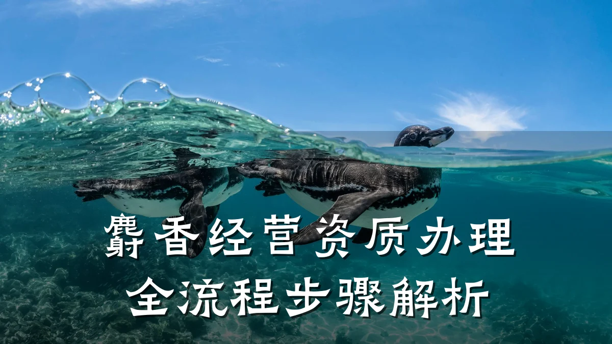 麝香经营资质办理全流程步骤解析