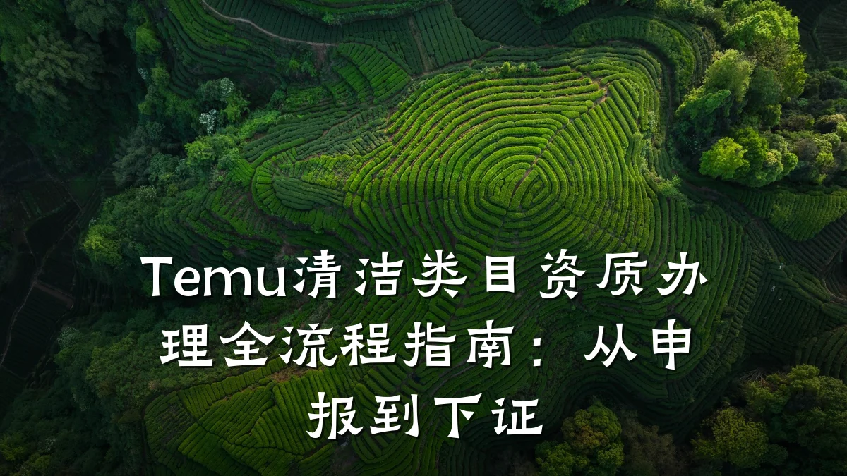 Temu清洁类目资质办理全流程指南：从申报到下证