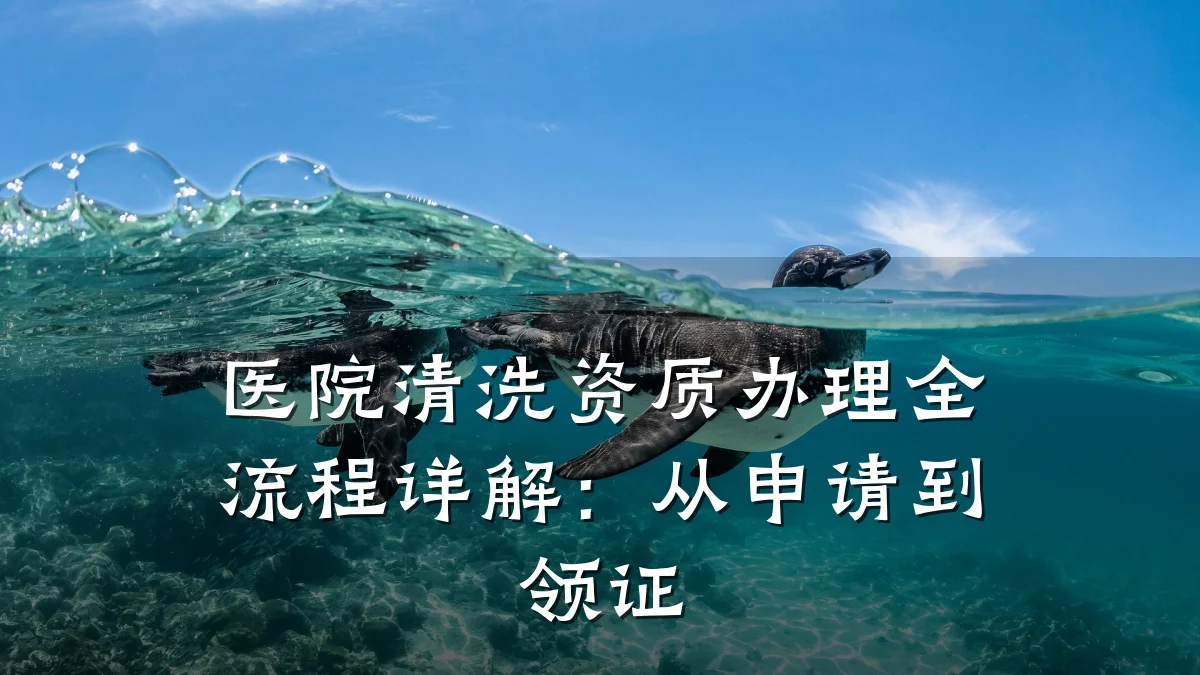 医院清洗资质办理全流程详解：从申请到领证