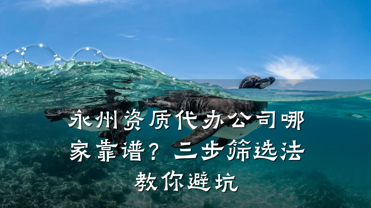 永州资质代办公司哪家靠谱？三步筛选法教你避坑