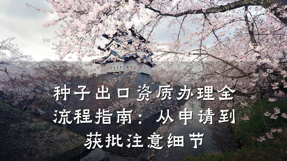 种子出口资质办理全流程指南：从申请到获批注意细节