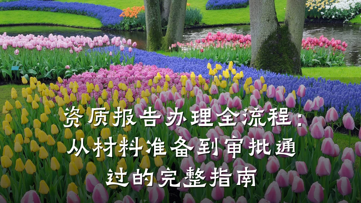 资质报告办理全流程:从材料准备到审批通过的完整指南
