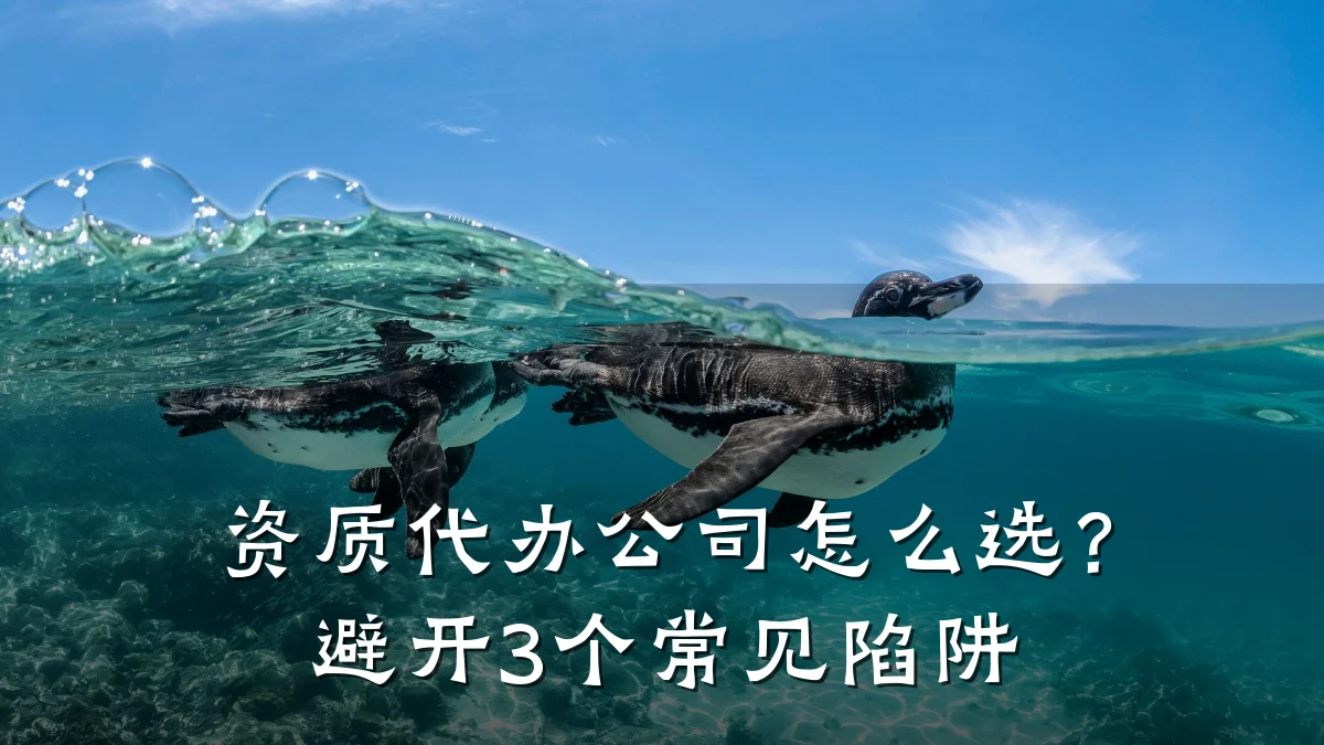 资质代办公司怎么选？避开3个常见陷阱