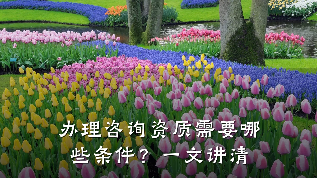 办理咨询资质需要哪些条件？一文讲清