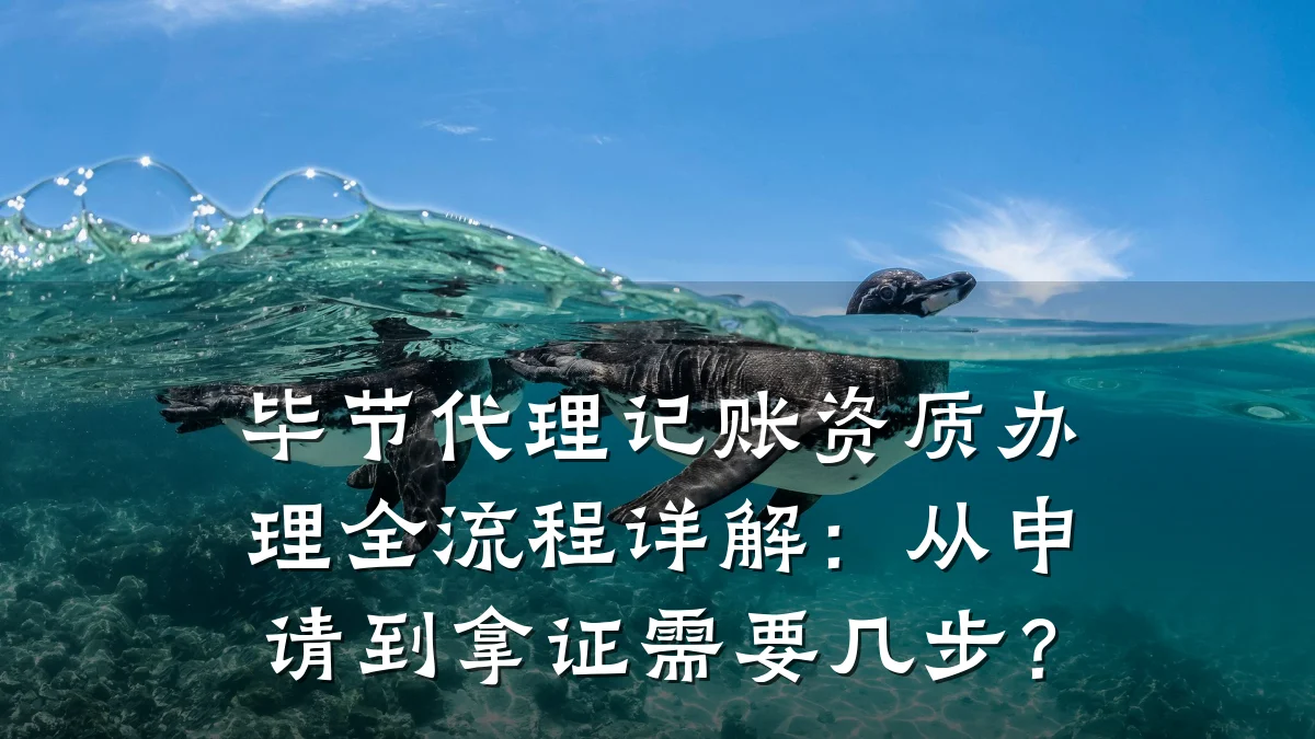 毕节代理记账资质办理全流程详解：从申请到拿证需要几步？