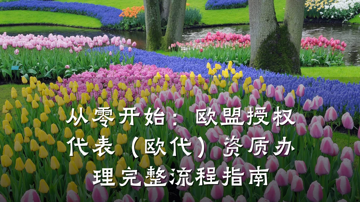 从零开始：欧盟授权代表（欧代）资质办理完整流程指南