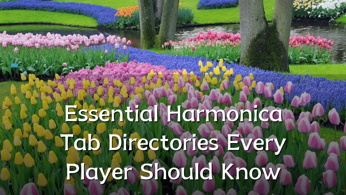 Essential Harmonica Tab Directories Every Player Should Know