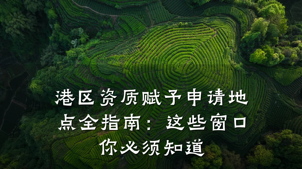 港区资质赋予申请地点全指南:这些窗口你必须知道