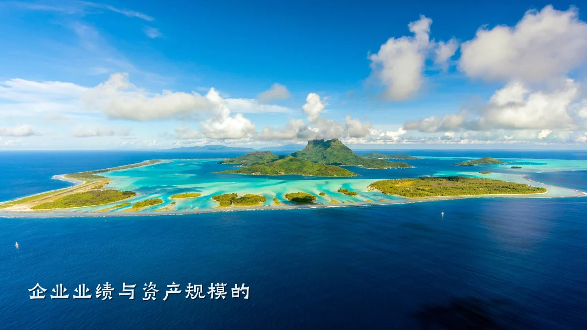 企业业绩与资产规模的