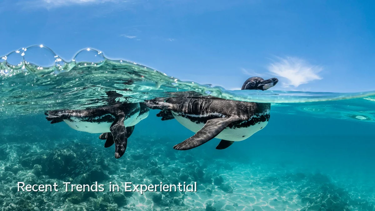 Recent Trends in Experiential