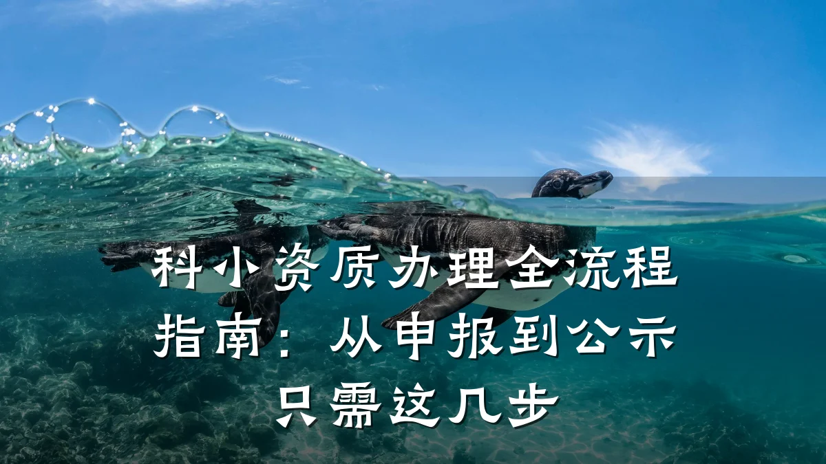 科小资质办理全流程指南：从申报到公示只需这几步
