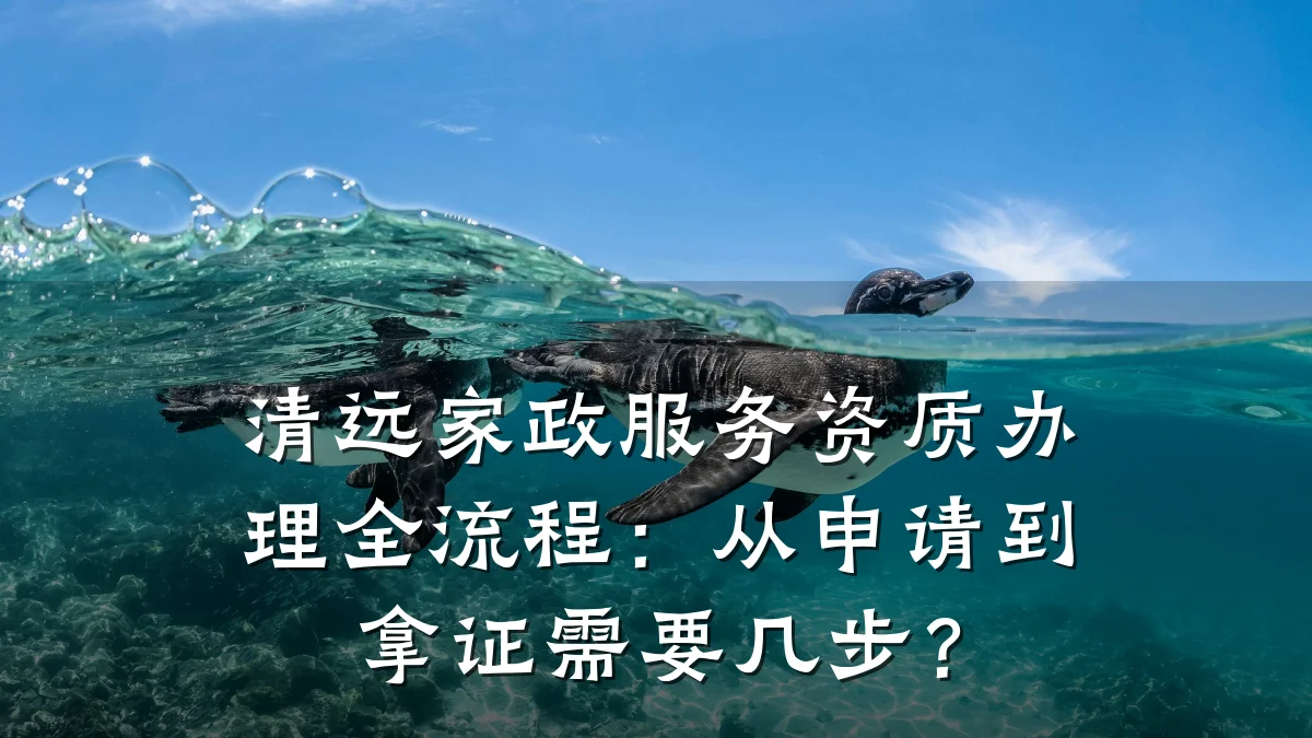 清远家政服务资质办理全流程:从申请到拿证需要几步?