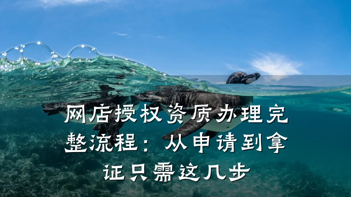 网店授权资质办理完整流程:从申请到拿证只需这几步