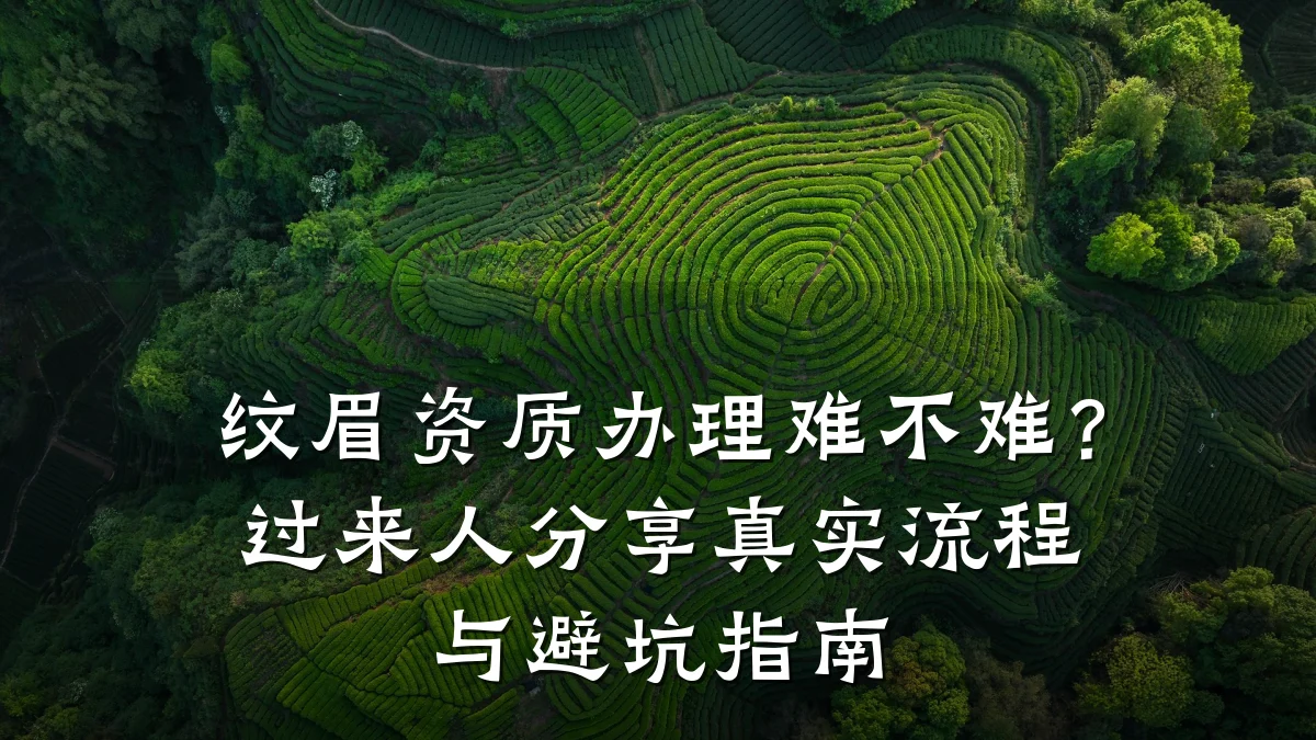 纹眉资质办理难不难？过来人分享真实流程与避坑指南