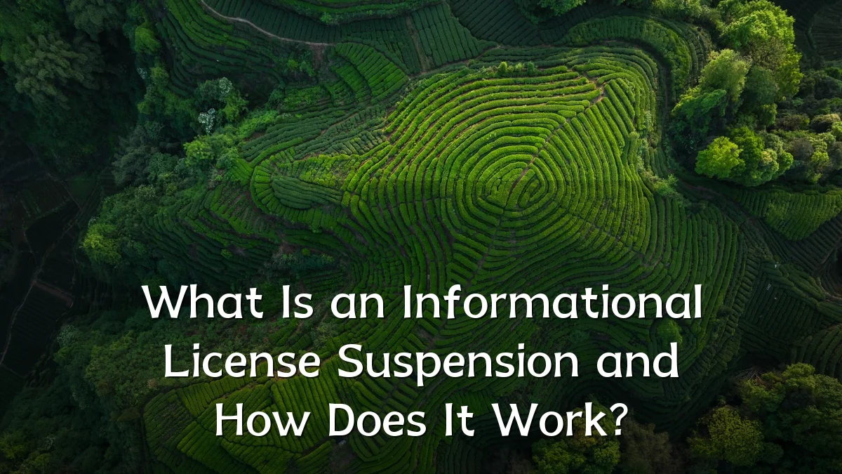 What Is an Informational License Suspension and How Does It Work?
