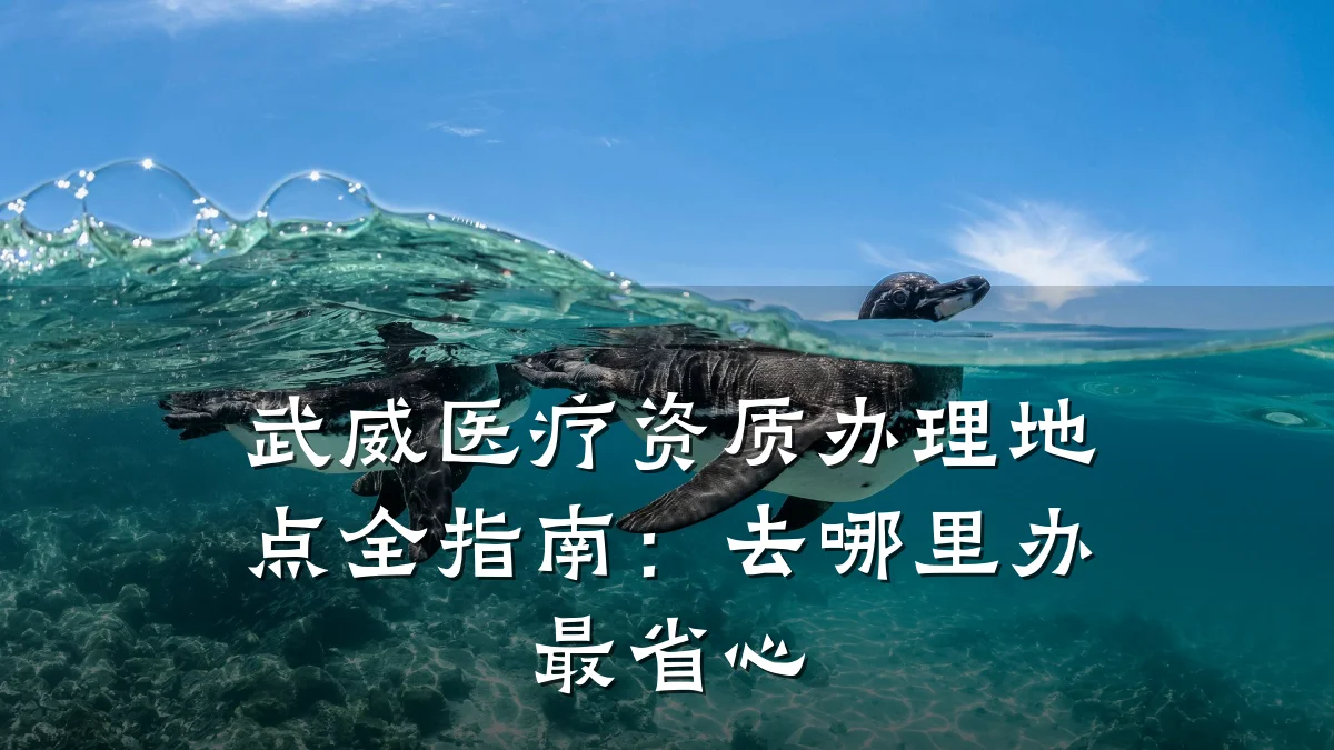 武威医疗资质办理地点全指南：去哪里办最省心