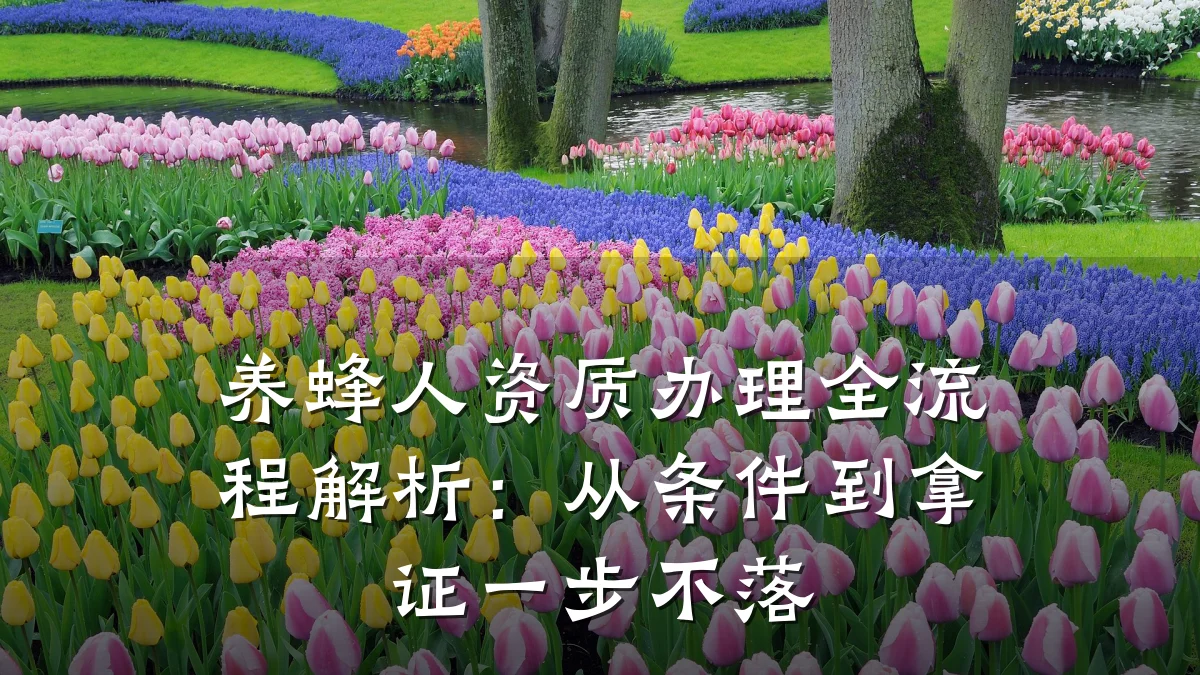养蜂人资质办理全流程解析：从条件到拿证一步不落