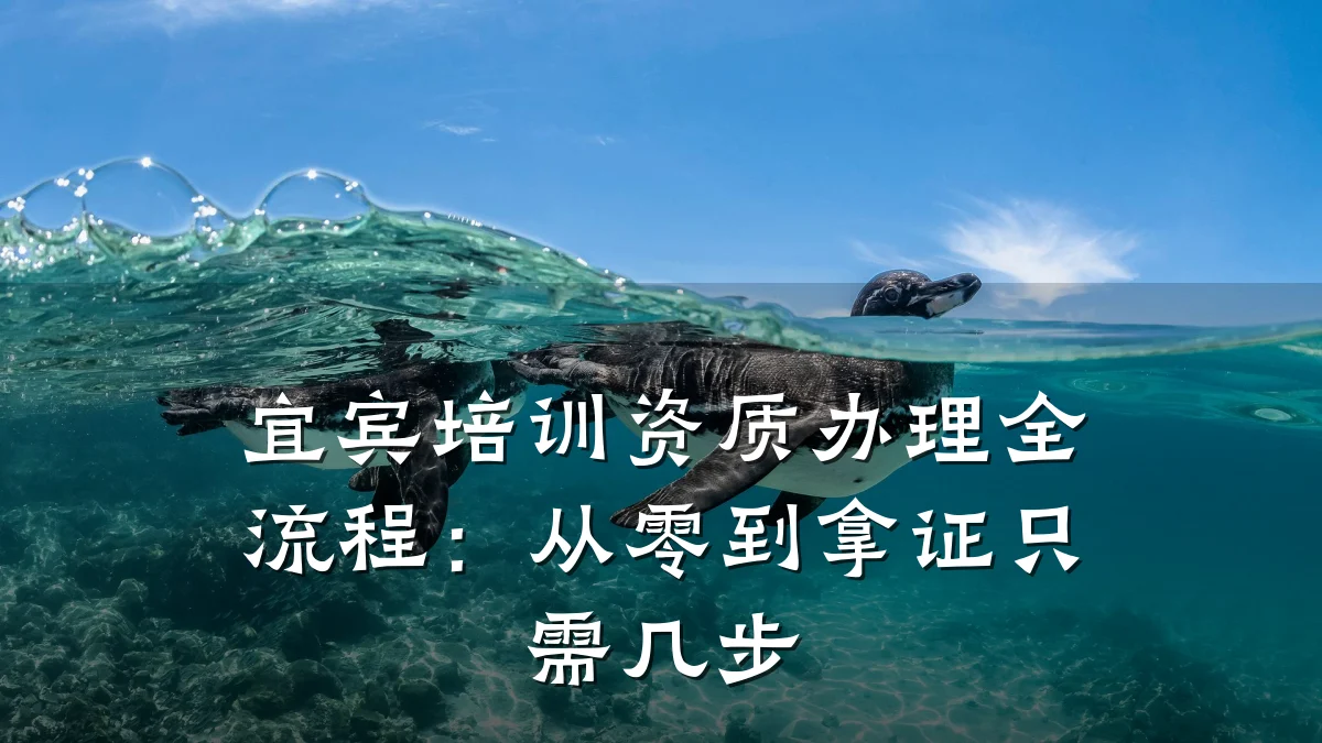 宜宾培训资质办理全流程：从零到拿证只需几步