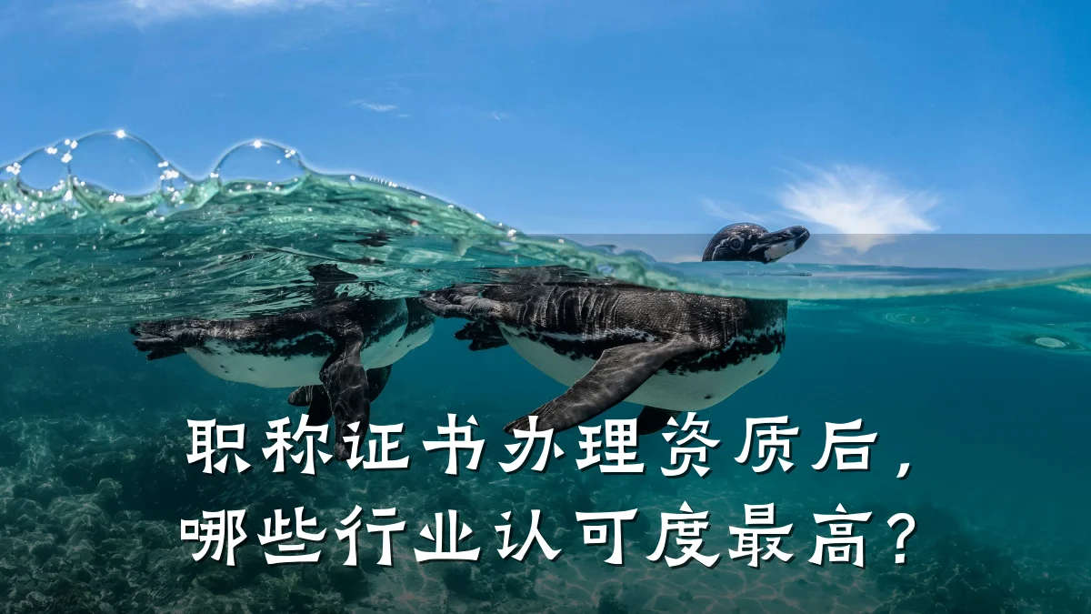 职称证书办理资质后，哪些行业认可度最高？