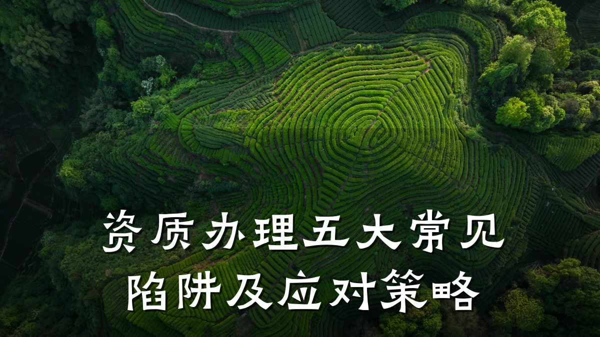 资质办理五大常见陷阱及应对策略