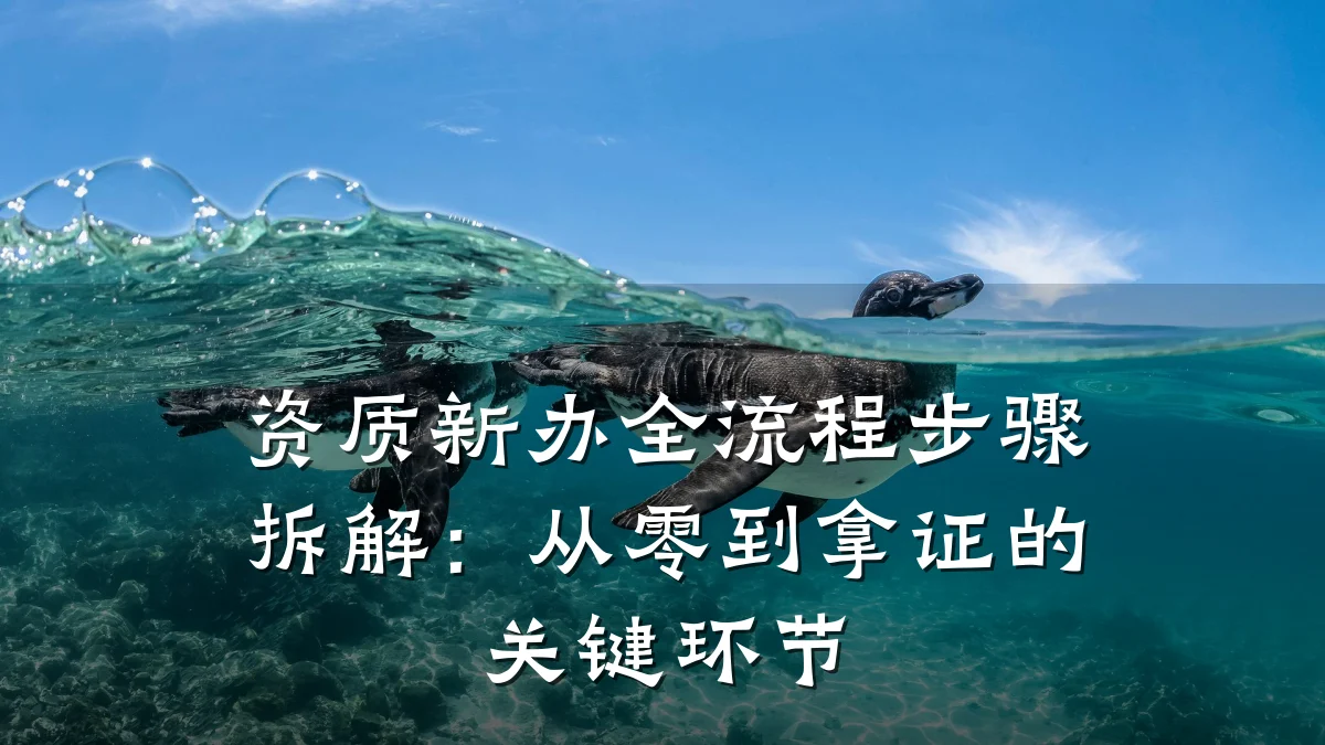 资质新办全流程步骤拆解：从零到拿证的关键环节