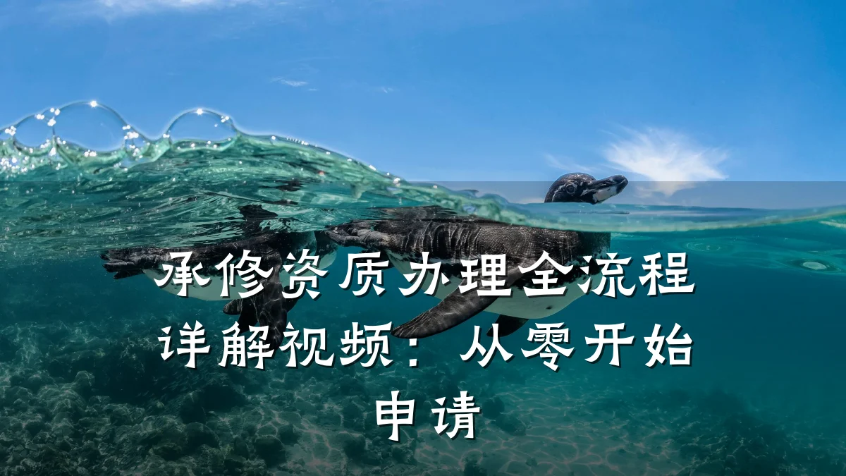 承修资质办理全流程详解视频：从零开始申请