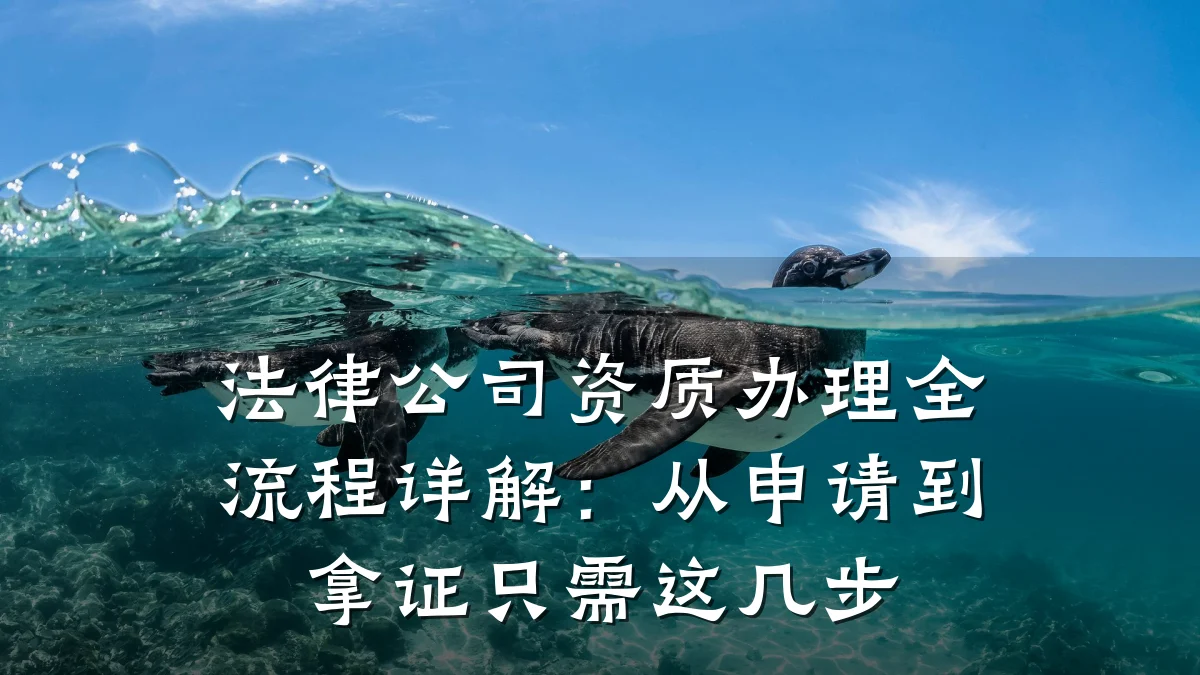 法律公司资质办理全流程详解:从申请到拿证只需这几步