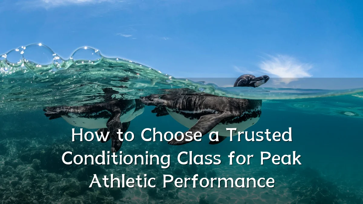 How to Choose a Trusted Conditioning Class for Peak Athletic Performance