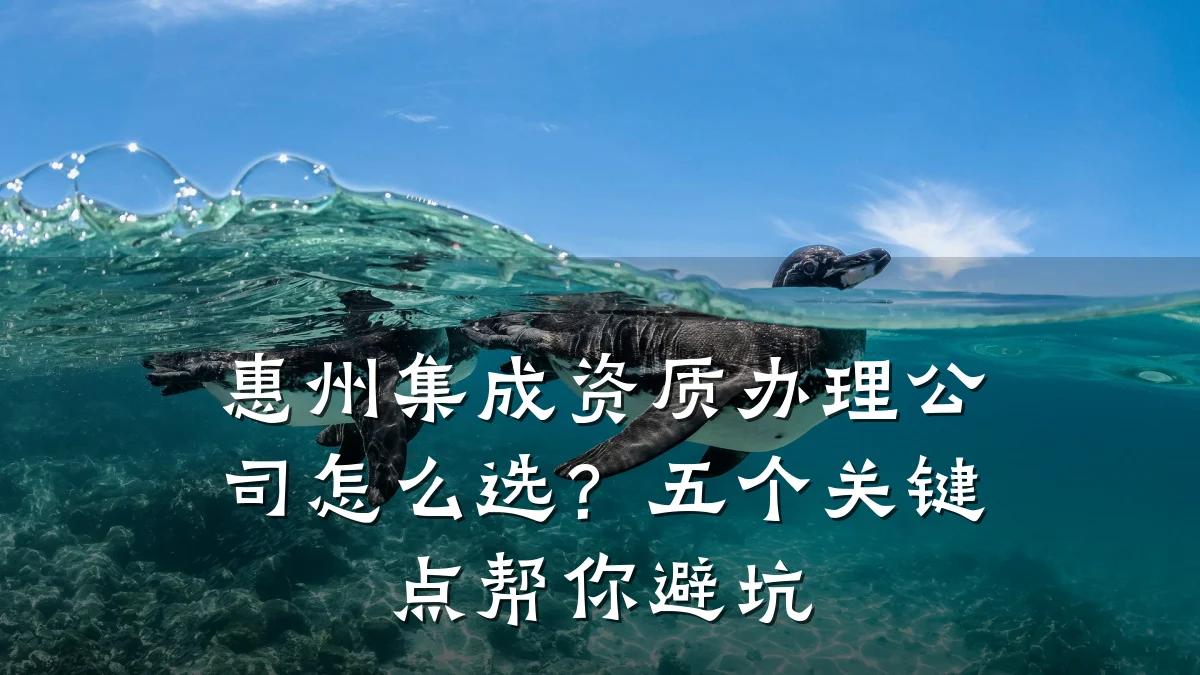 惠州集成资质办理公司怎么选？五个关键点帮你避坑