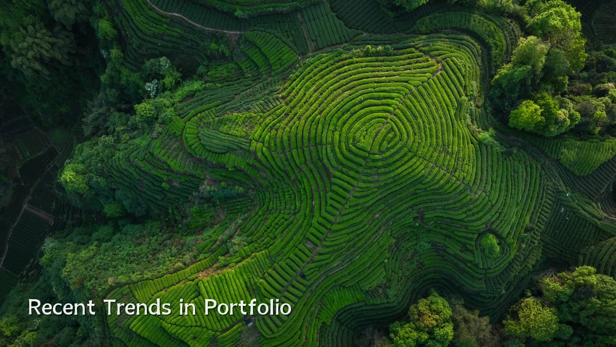 Recent Trends in Portfolio