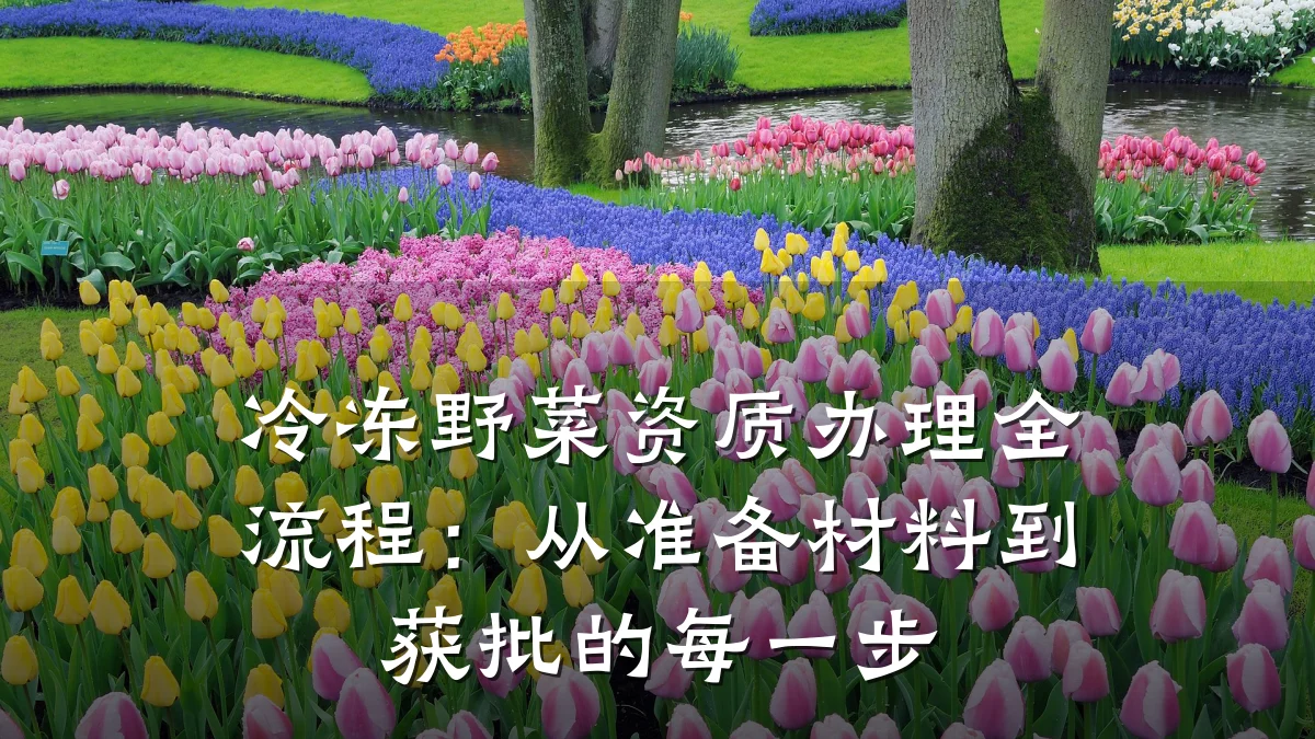 冷冻野菜资质办理全流程：从准备材料到获批的每一步