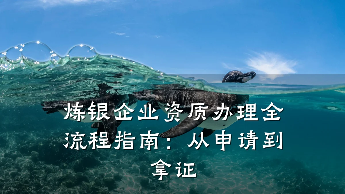 炼银企业资质办理全流程指南：从申请到拿证