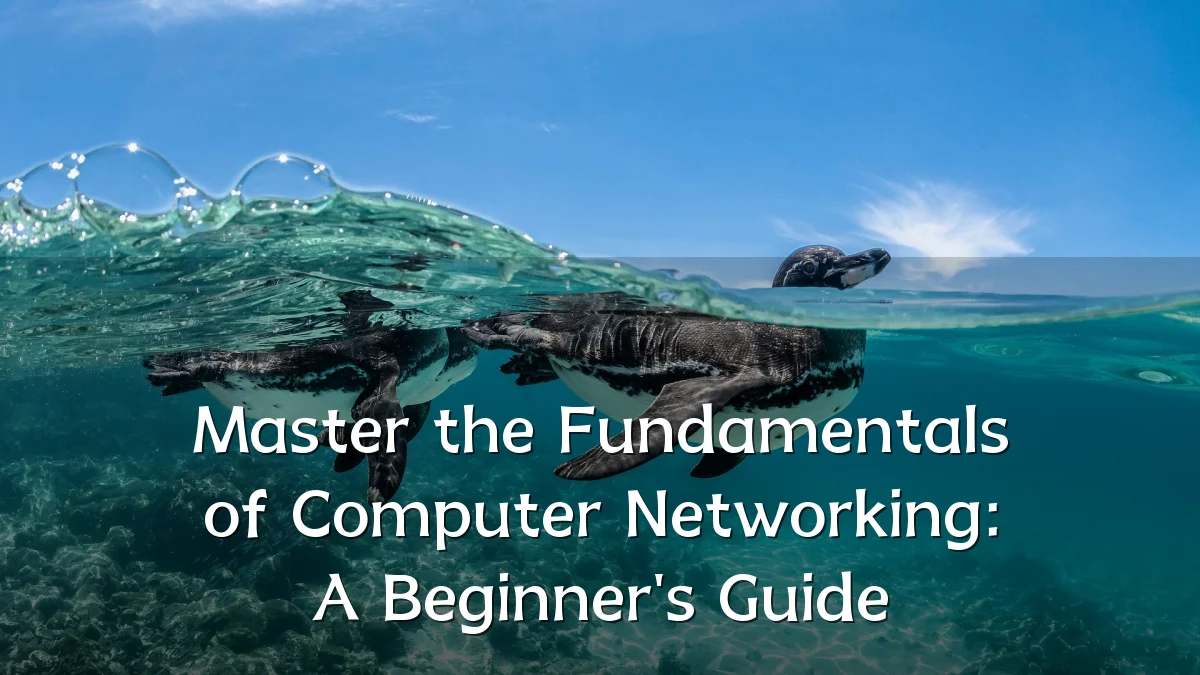 Master the Fundamentals of Computer Networking: A Beginner's Guide