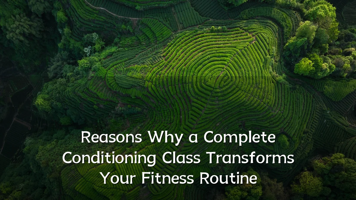 Reasons Why a Complete Conditioning Class Transforms Your Fitness Routine