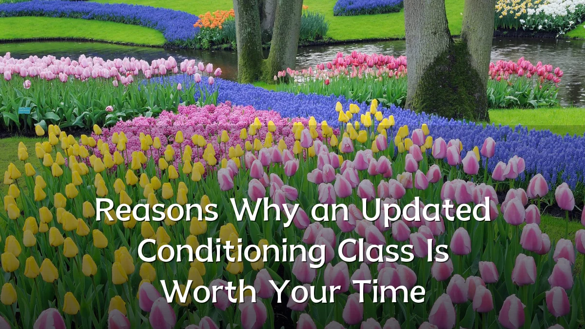 Reasons Why an Updated Conditioning Class Is Worth Your Time