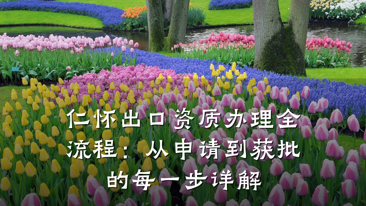 仁怀出口资质办理全流程：从申请到获批的每一步详解