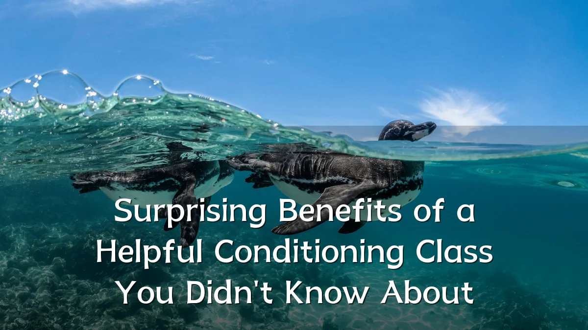 Surprising Benefits of a Helpful Conditioning Class You Didn't Know About