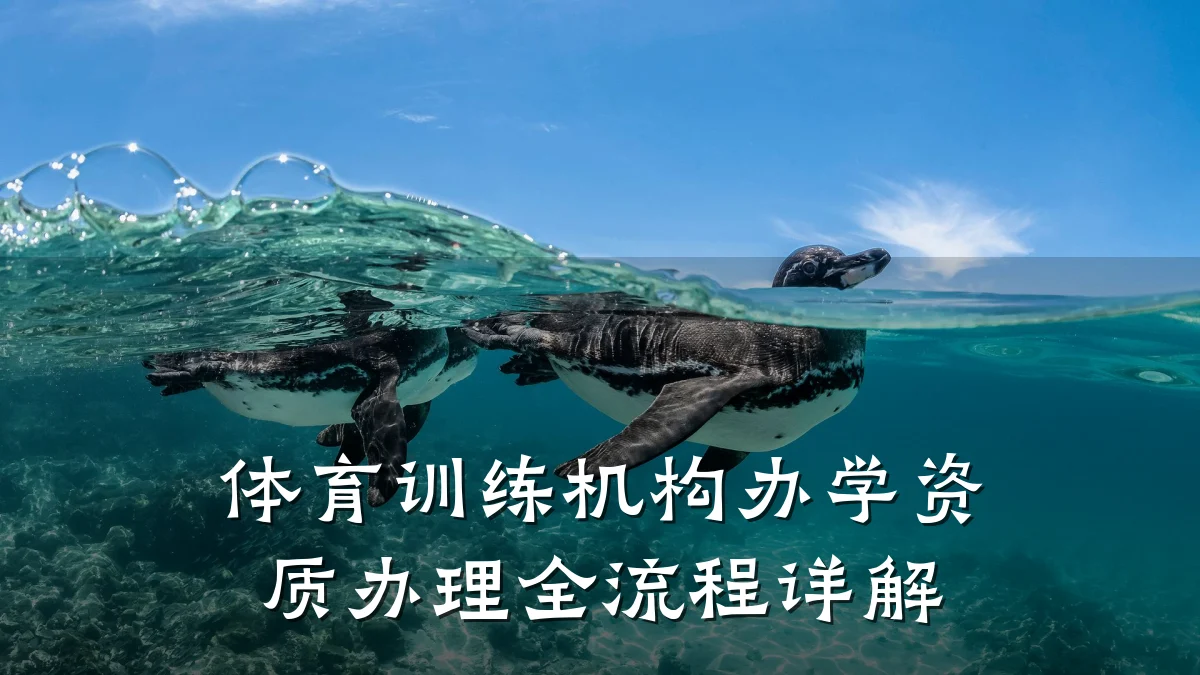 体育训练机构办学资质办理全流程详解