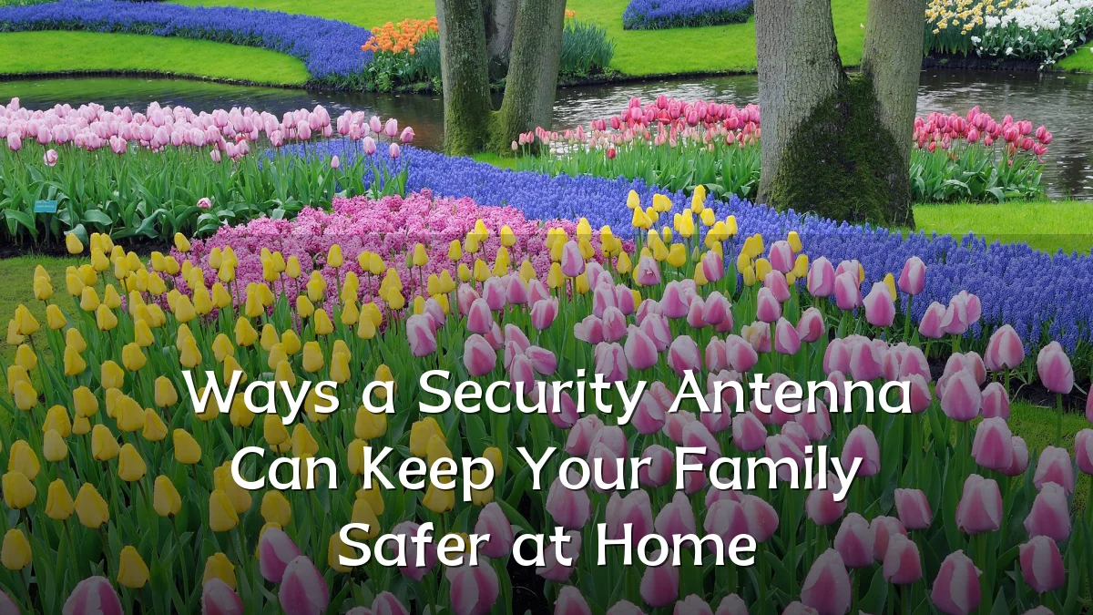 Ways a Security Antenna Can Keep Your Family Safer at Home