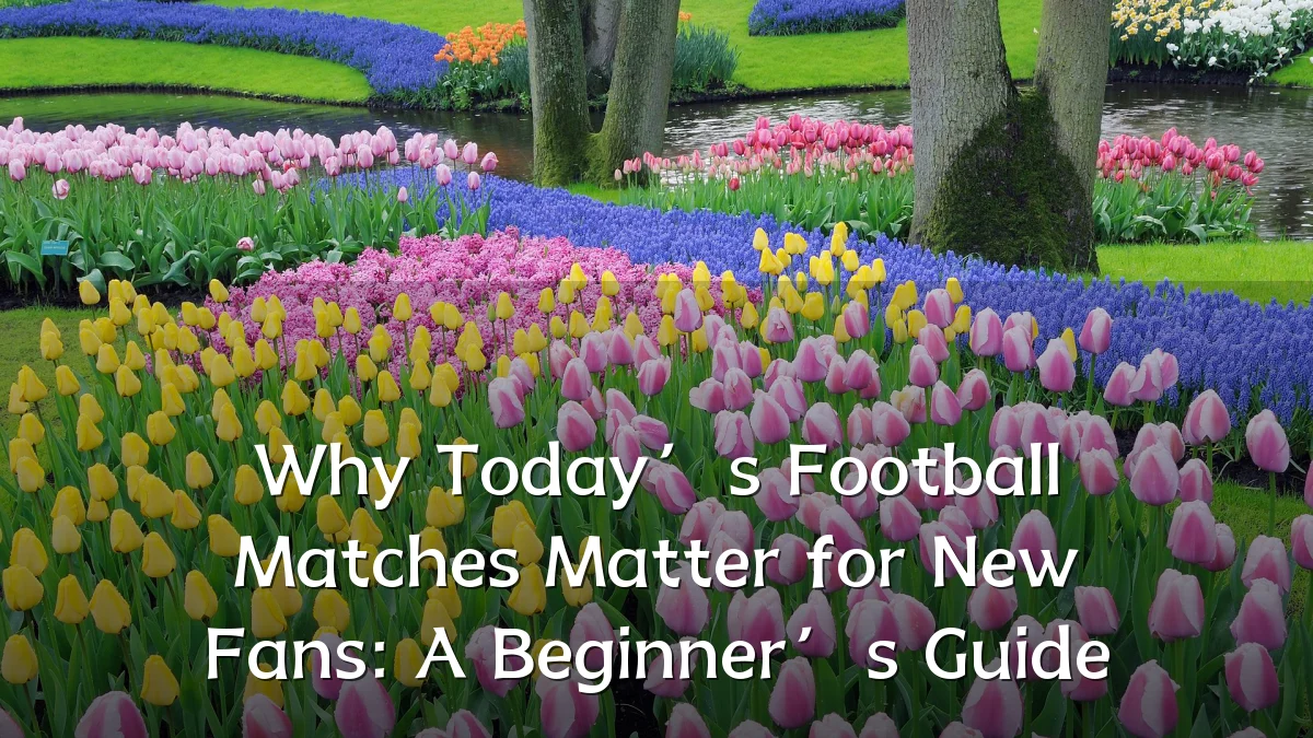 Why Today’s Football Matches Matter for New Fans: A Beginner’s Guide
