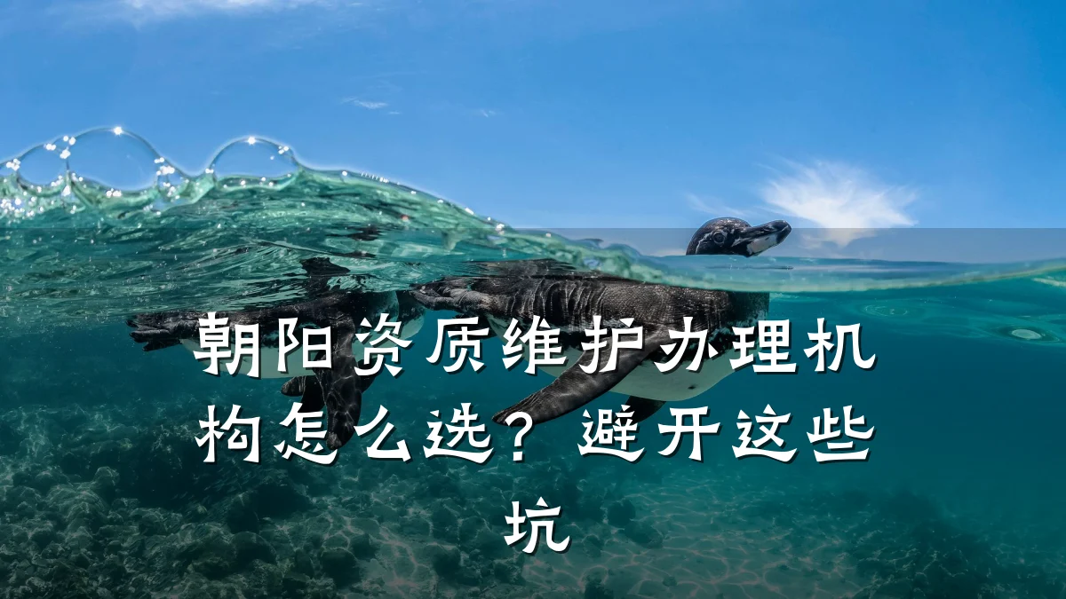 朝阳资质维护办理机构怎么选?避开这些坑