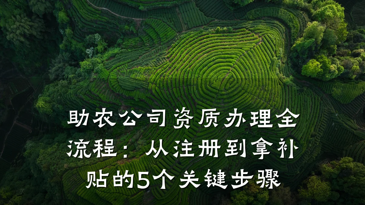 助农公司资质办理全流程：从注册到拿补贴的5个关键步骤
