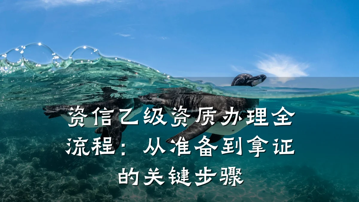 资信乙级资质办理全流程：从准备到拿证的关键步骤