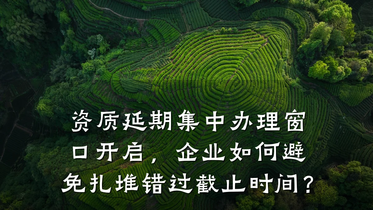 资质延期集中办理窗口开启，企业如何避免扎堆错过截止时间？