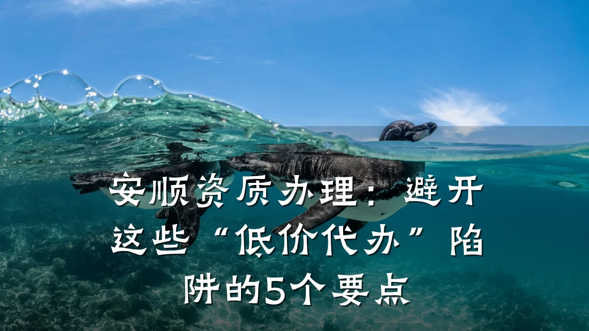 安顺资质办理：避开这些“低价代办”陷阱的5个要点