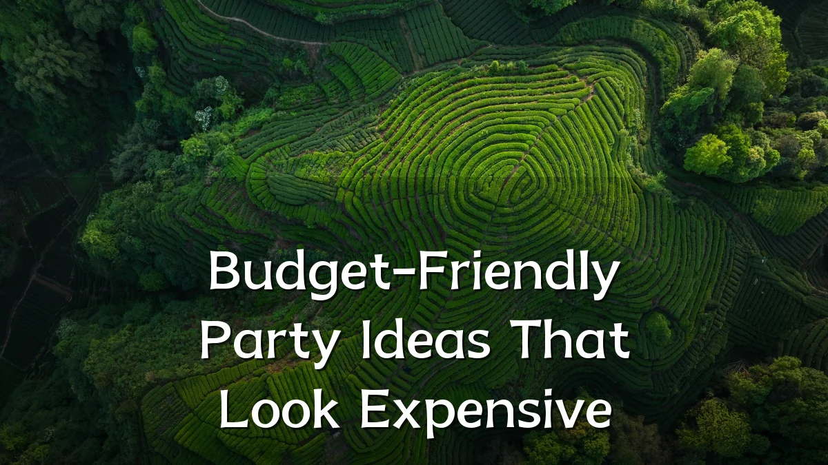 Budget-Friendly Party Ideas That Look Expensive