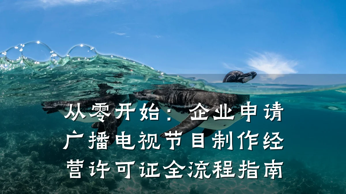 从零开始:企业申请广播电视节目制作经营许可证全流程指南