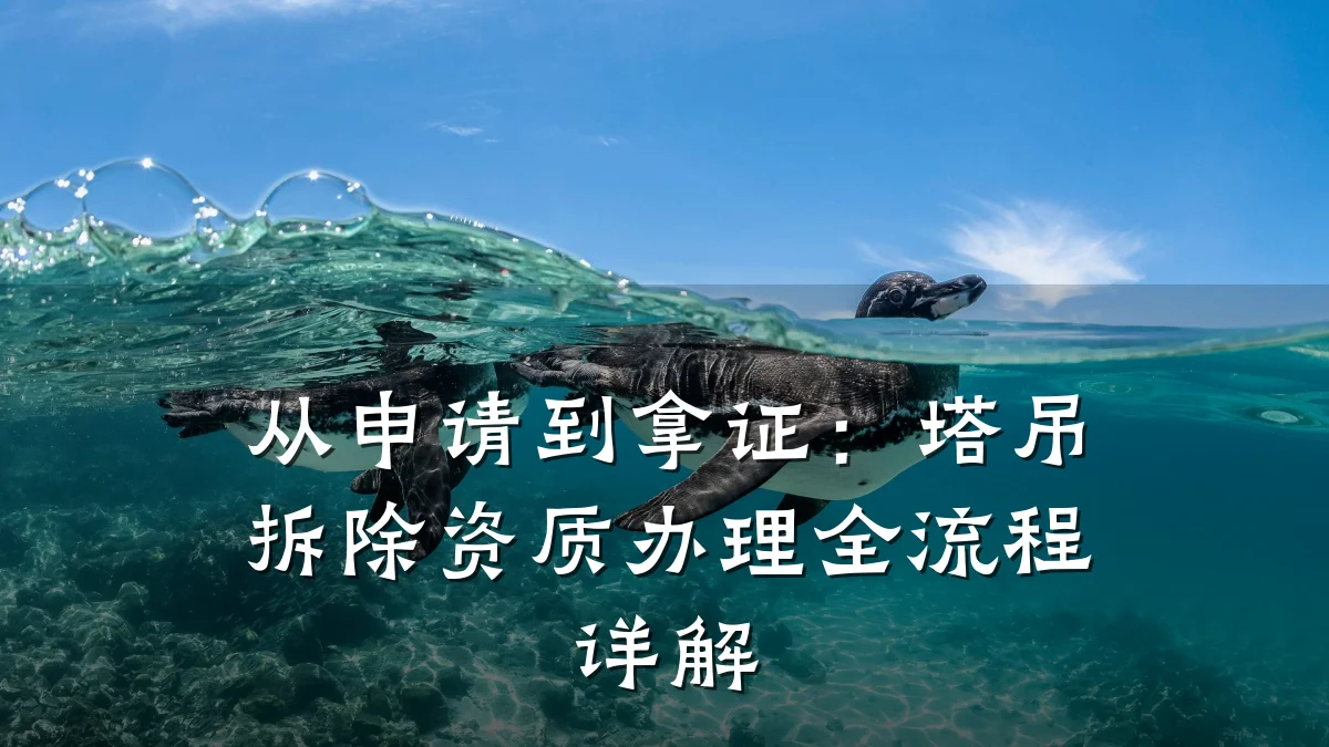 从申请到拿证:塔吊拆除资质办理全流程详解