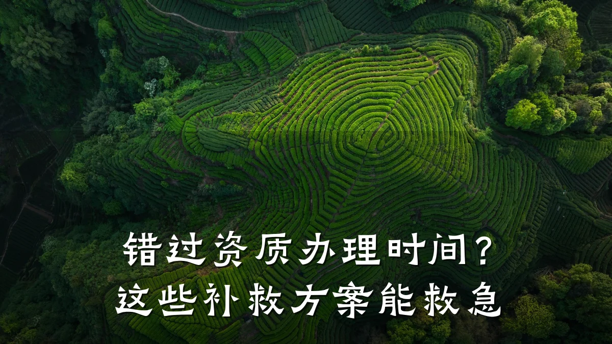 错过资质办理时间？这些补救方案能救急